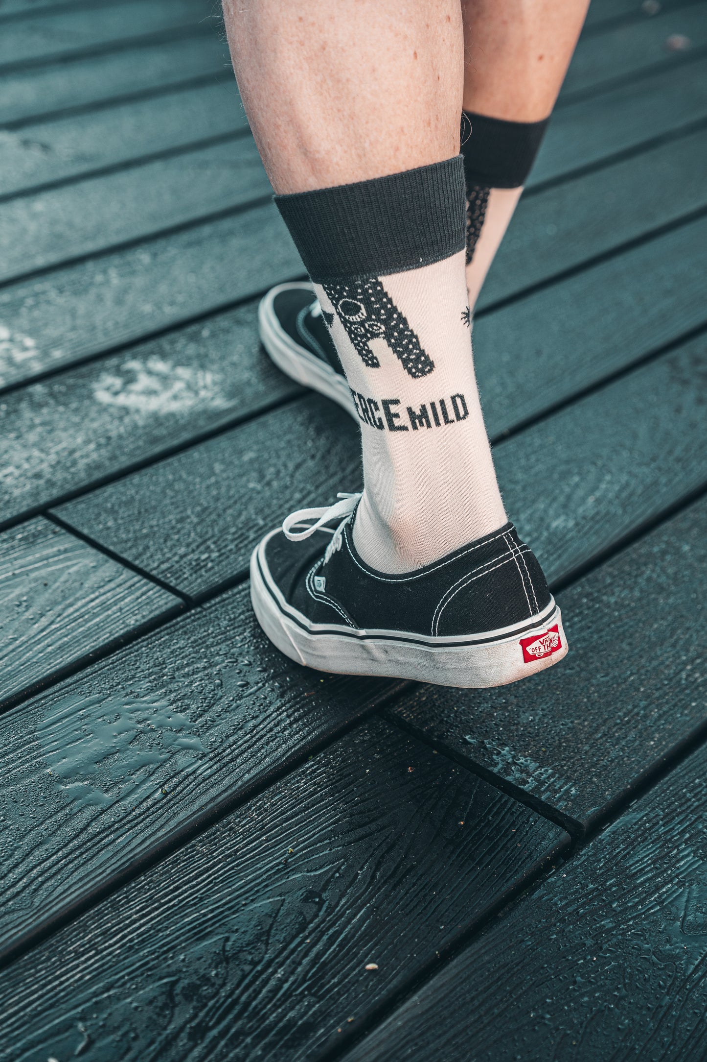 Socks - Limited Edition